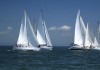Maverick Earns Convincing Win In Talla Hina Sussex Classic image of sailing yachts at the start of a race