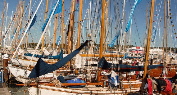 image of A forest of masts in Cowes Yacht Haven 2015